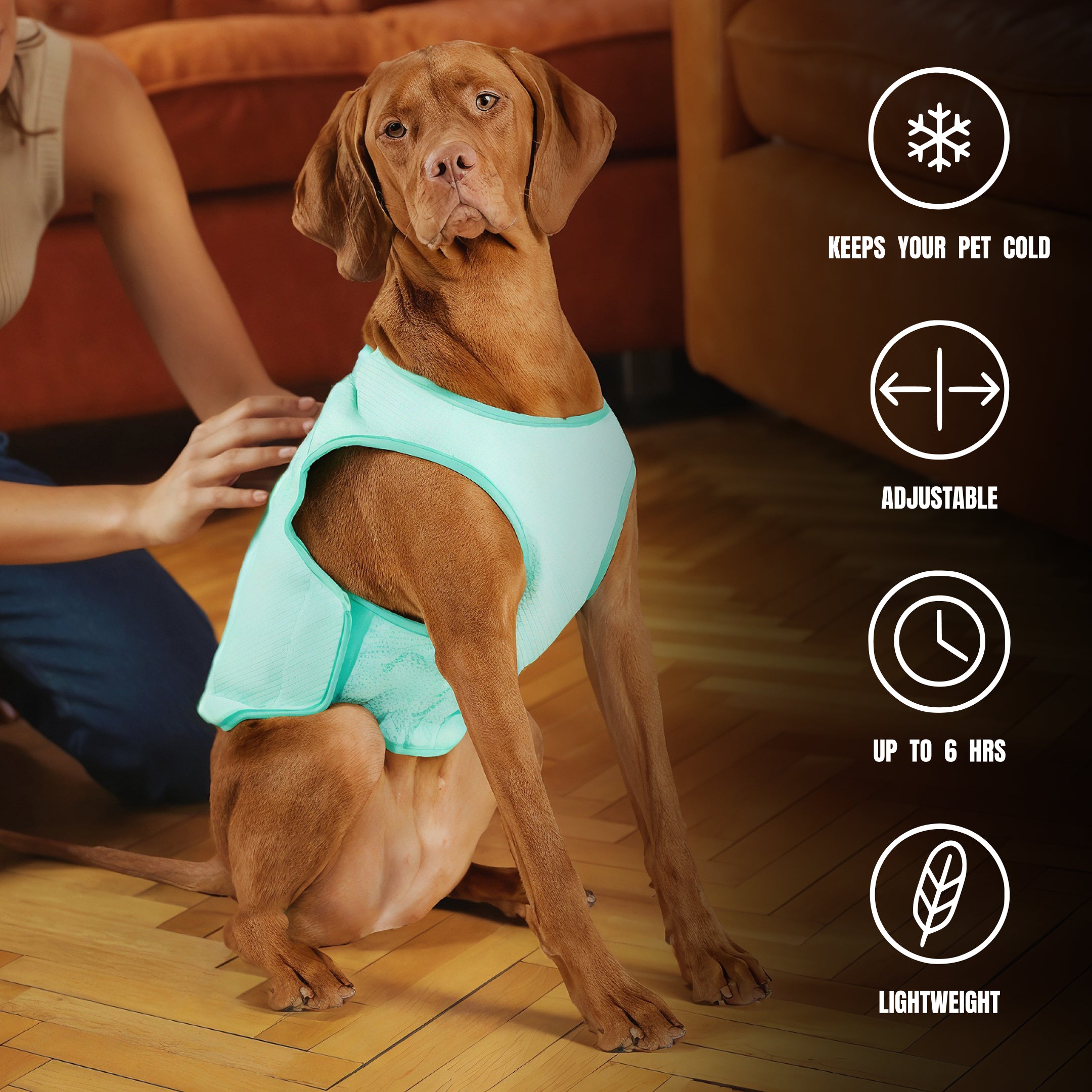 Quality Beach Cooling Set | by GF Pet of Canada | Small Dog