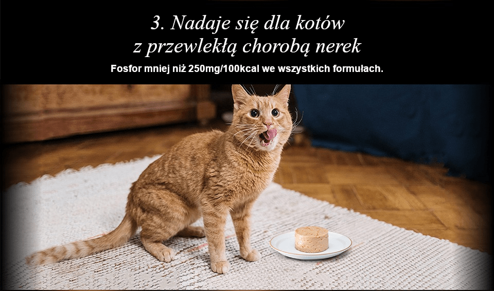Chérie Healthy Living Diet Chicken mousse 80g.