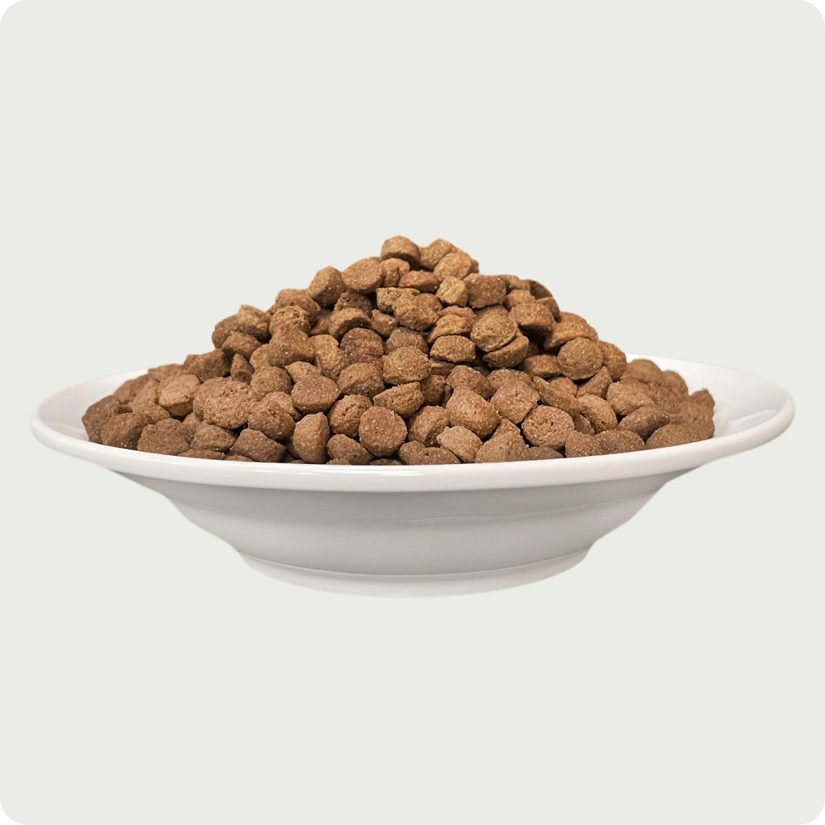 Chérie Dry Cat Food Grain-Free Salmon Entrées 400g. + Free 1 Fillet