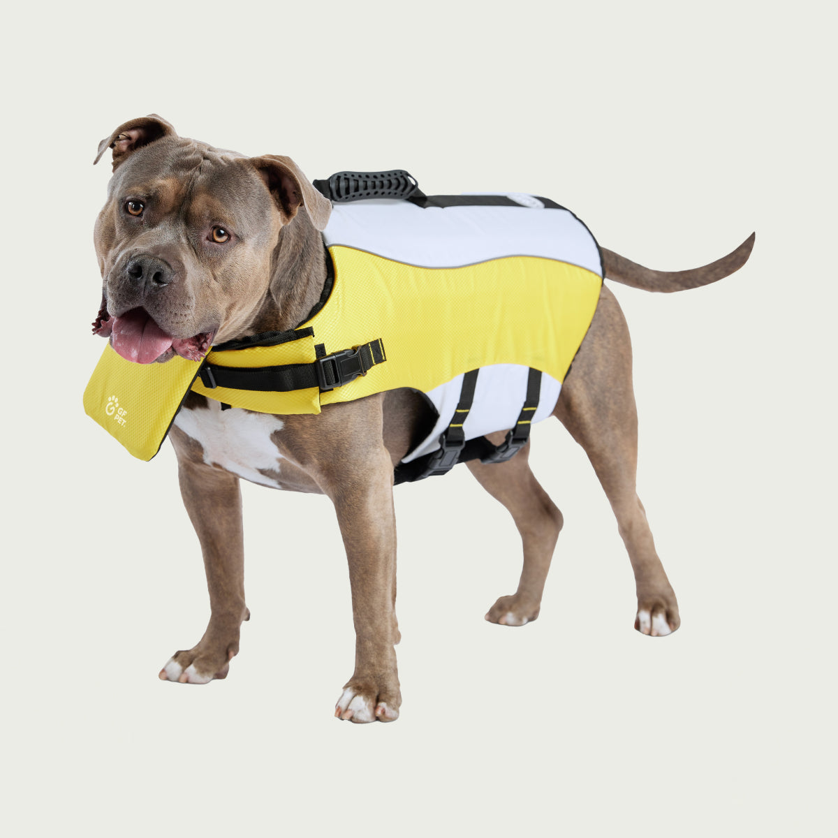 Life Vest® For Dog Yellow | by GF Pet of Canada | Swim Safe