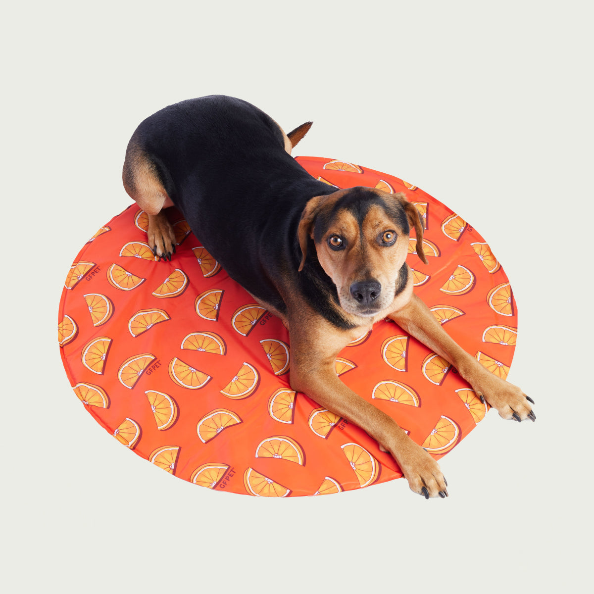 GF Pet Ice Mat® | Dog Colling Mat | No Ice, No Refrigeration