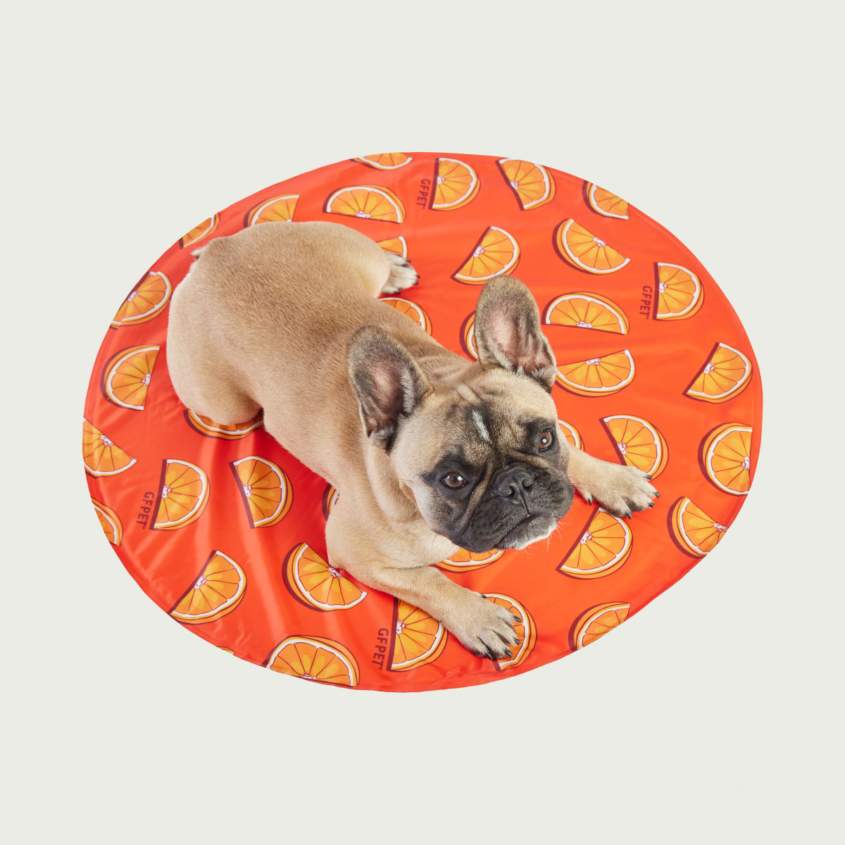 GF Pet Ice Mat® | Dog Colling Mat | No Ice, No Refrigeration