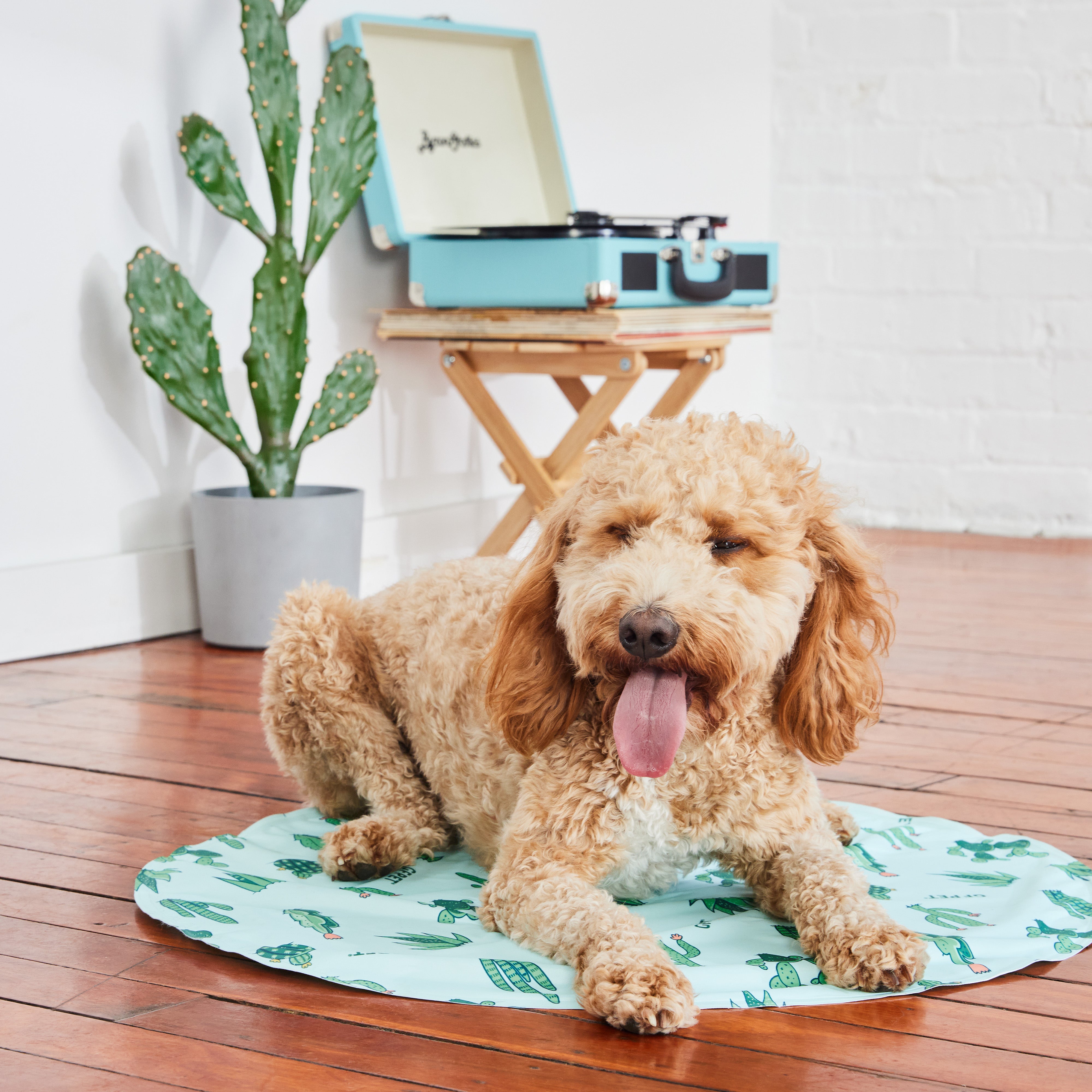 GF Pet Ice Mat® | Dog Colling Mat | No Ice, No Refrigeration
