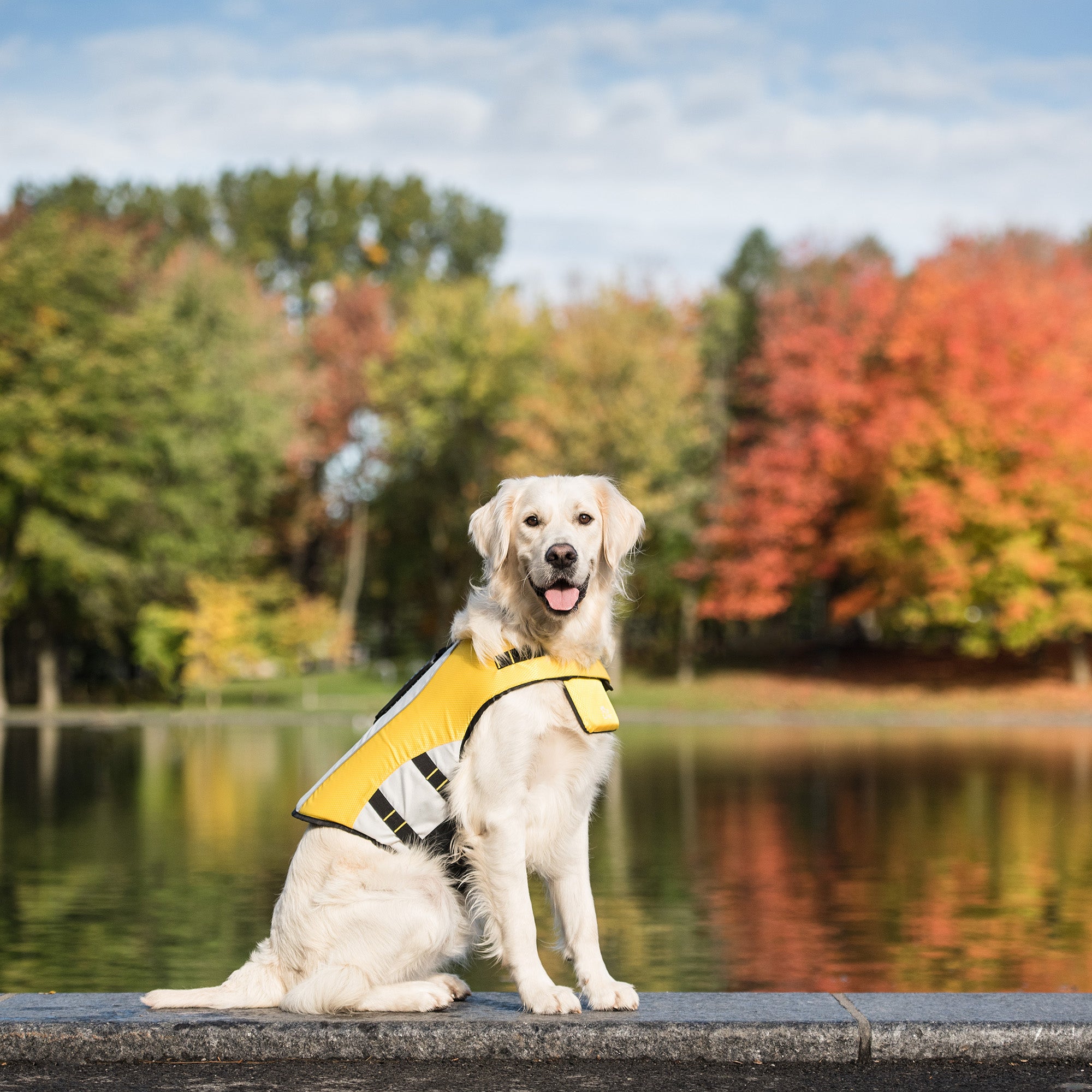 Quality Beach Cooling Set | by GF Pet of Canada | Small Dog